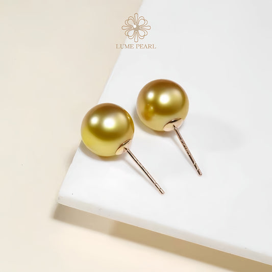 High Luster Natural South Sea Golden Pearl Stud Earrings – 18K Yellow Gold, Classic Fine Jewelry