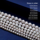 3A Grade High-Luster Near-Round Natural Freshwater Edison Pearl Necklace
